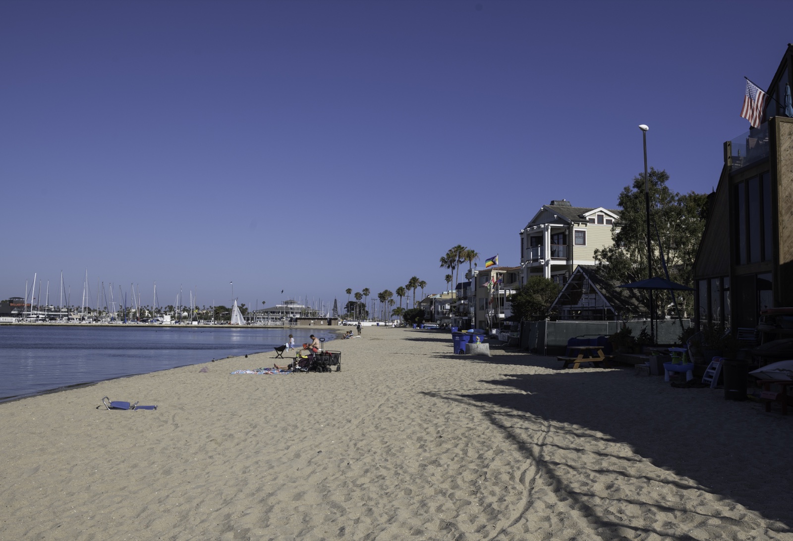 Alamitos Bay — calm water and palm trees, Belmont Shore