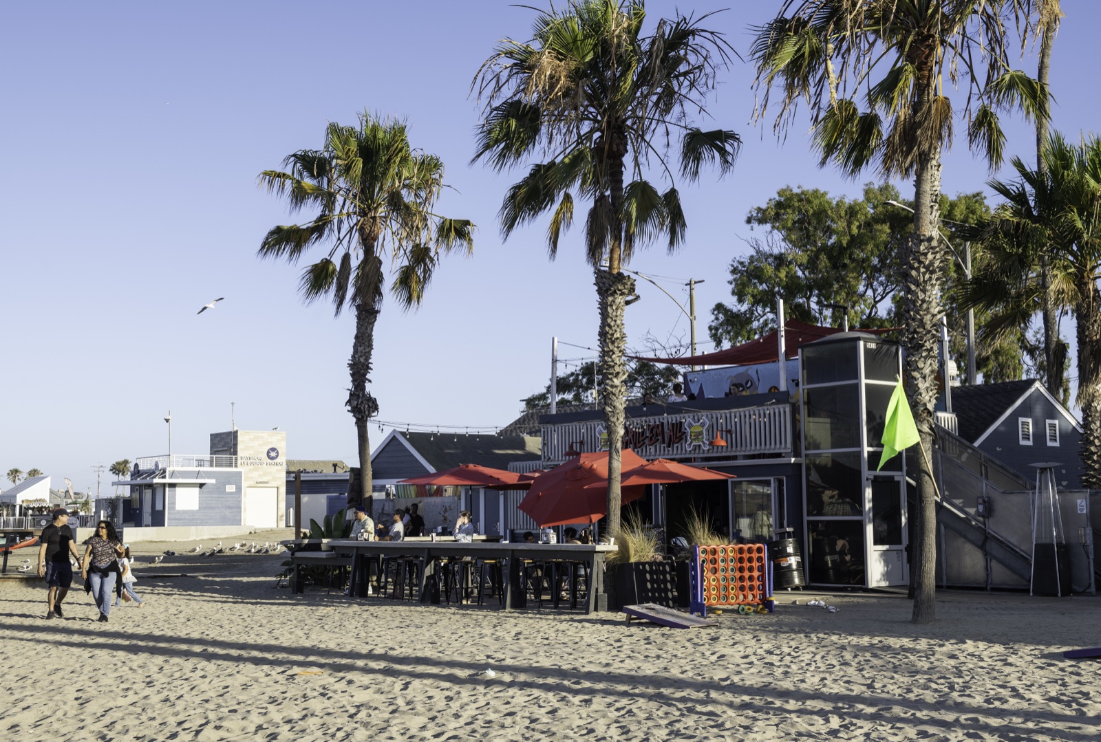 Beachside bar and palms on the Belmont Shore Pacific side