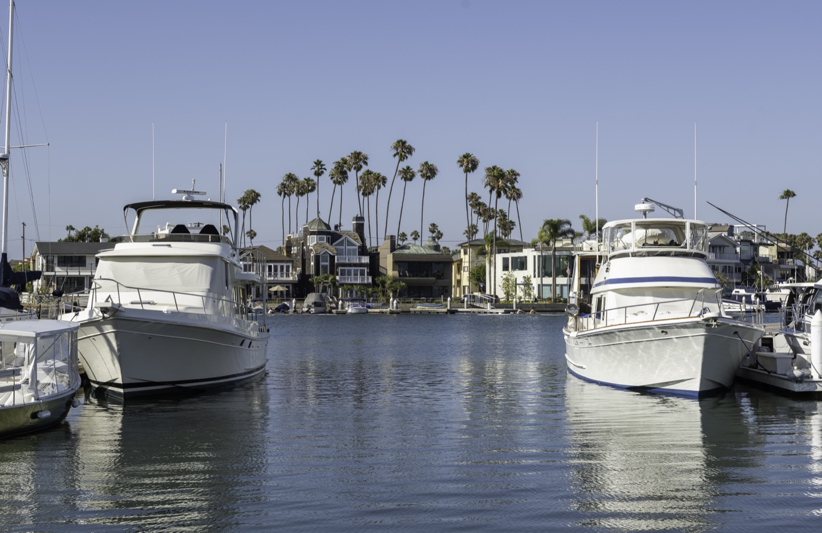 Alamitos Bay Marina — boats and palm trees